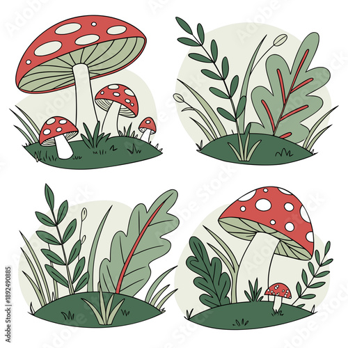 mushrooms in the forest