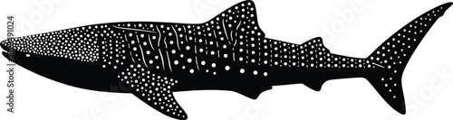 Whale shark silhouette vector illustration. Decorative dotted marine animal design. Black ocean fish artwork for tattoo, logo, wall art, and modern graphic projects.