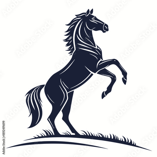 horse silhouette isolated on white