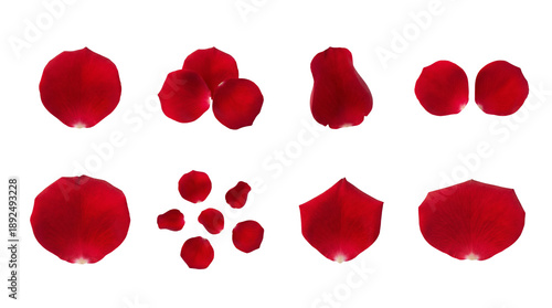 Red rose petal set including single, grouped, heart shaped, and scattered arrangements isolated. Romantic floral collection for wedding and valentines decor.