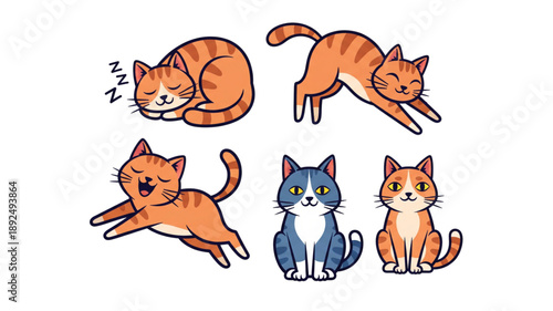 Minimal flat cat icon set vector illustration with sleeping stretching and sitting poses