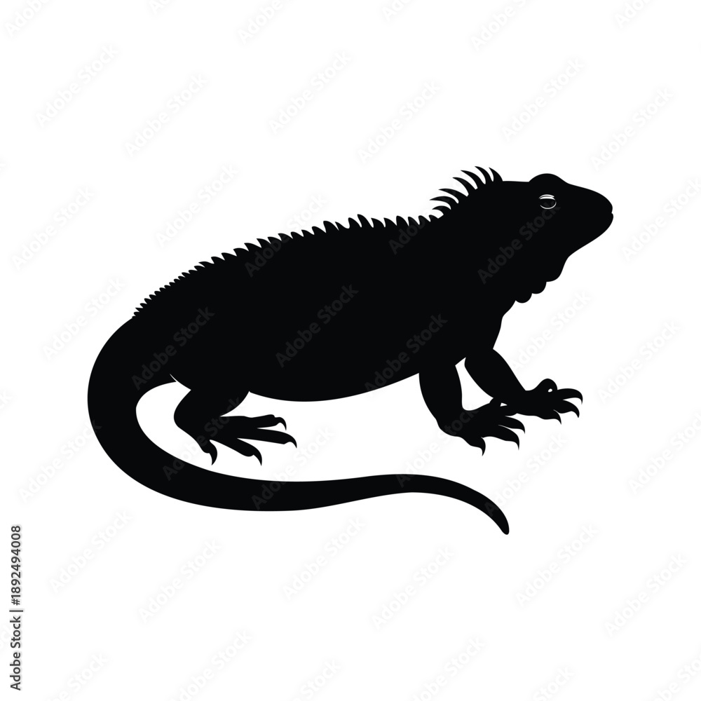 Fototapeta premium Stylized silhouette of an iguana, black and white vector illustration, A detailed black and white silhouette vector illustration of an iguana, perfect for design and illustration purposes