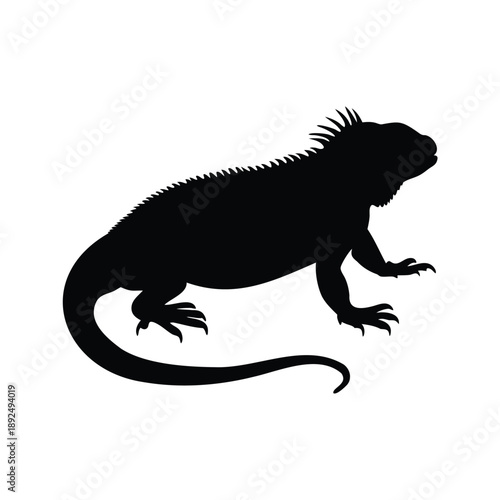 Black and white silhouette of an iguana vector illustration, A detailed black and white silhouette of an iguana in a vector illustration style