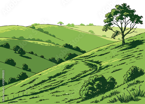 Rolling green hills with a prominent solitary tree under a clear sky illustration.
