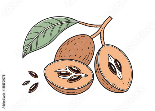 Whole and sliced sapodilla fruit with seeds and a vibrant green leaf.
