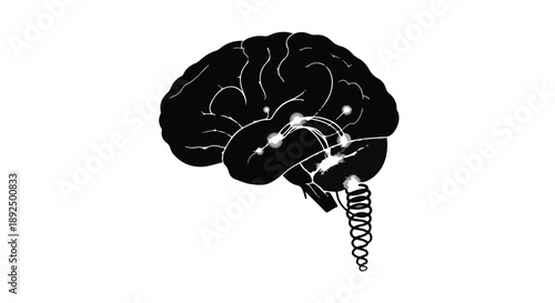 Black and white illustration of a brain with a spring emerging from it
