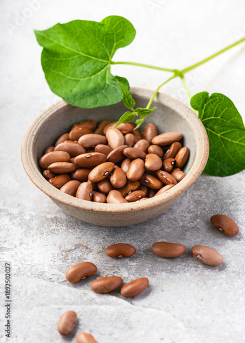 Dried cinnamon beans 