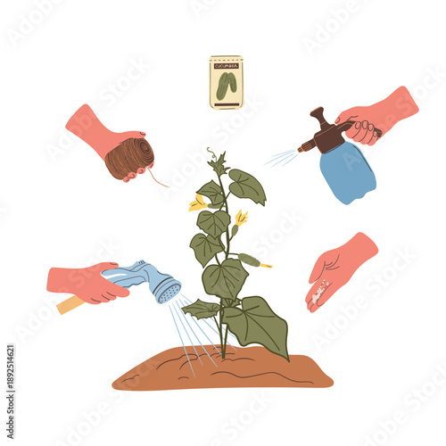 Gardening Guide Growing Cucumbers Infographic