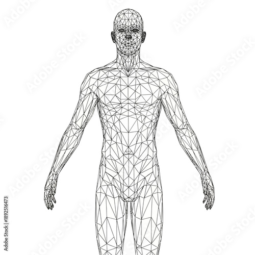 Abstract polygonal human figure on white background for medical or scientific concepts.