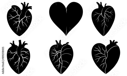 Collection of anatomical heart illustrations from various viewpoints showcasing detailed cardiac structures in black silhouettes
