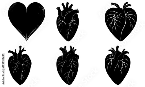Set of black anatomical heart illustrations with varying vascular details on white background viewed from the front