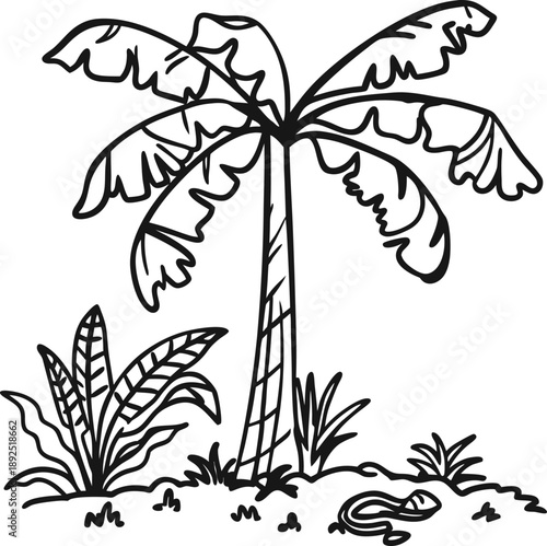 Tropical palm tree with lush foliage and sandals on sandy ground, hand drawn botanical illustration
