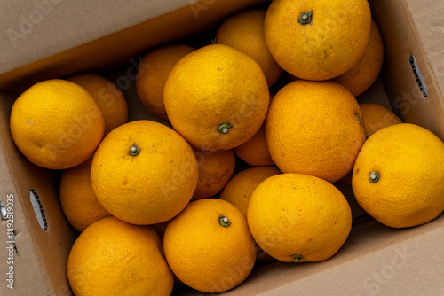Boxed Japanese fresh hassaku delivered directly from the farm, closeup