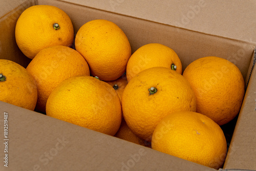 Boxed Japanese fresh hassaku delivered directly from the farm, closeup