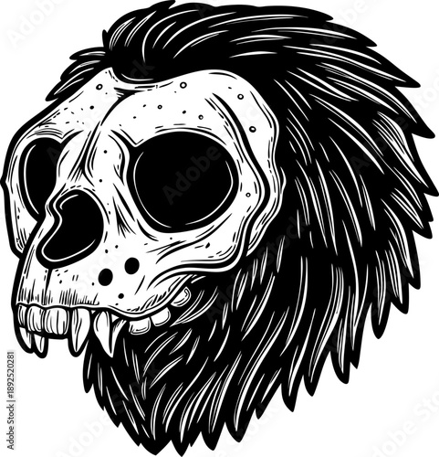 primate skull illustration with detailed fur, fierce teeth, and hollow eye sockets in black and white design