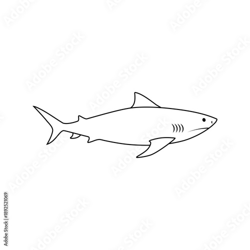 Shark vector icon. Fish Illustration sign. Ocean life symbol or logo. Design for web.