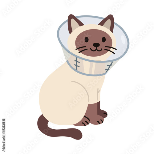 Cute flat vector illustration of a cat wearing an Elizabethan collar after veterinary treatment. Cartoon pet in recovery cone, isolated on white background, ideal for children, vet and pet care themes