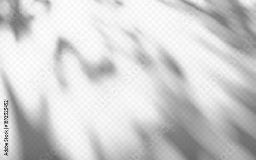 Abstract soft dappled light shadow overlay from tree branch on a transparent background.