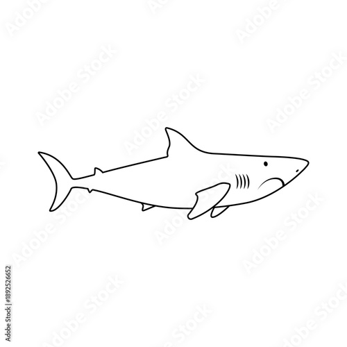 Shark vector icon. Fish Illustration sign. Ocean life symbol or logo. Design for web and app.