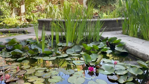 Giardini Bellini