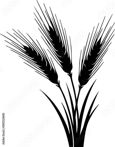 Barley stalks silhouette isolated on white background minimalist grain heads with long thin awns agriculture botanical illustration