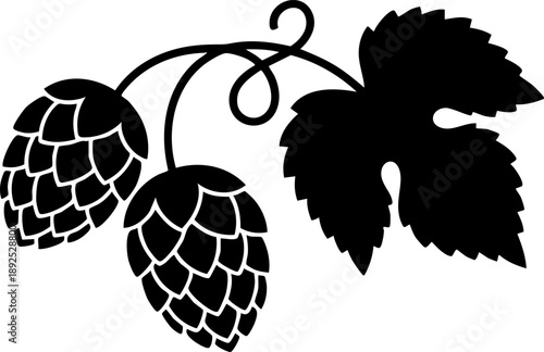 Hops cone and vine leaf silhouette isolated on white background minimalist brewing and beer theme botanical nature illustration