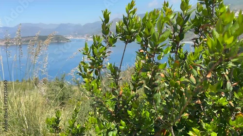 Isola di Dino2