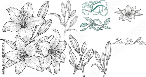 Sophisticated Floral Line Art with Detailed Blooms and Abstract Growth vector illustration