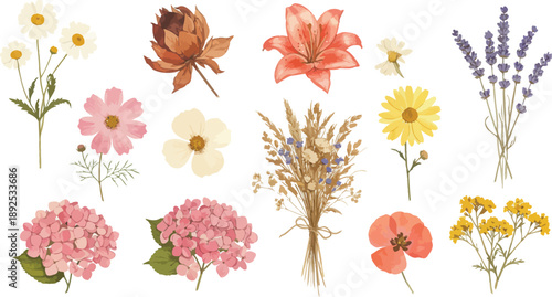 Autumn and Floral Collection of Flowers and Leaves