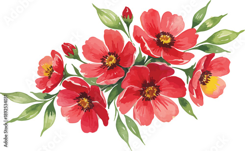 Red flower bouquet on white background with blooming garden flowers