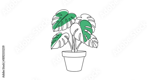 A minimalist continuous line drawing of a potted monstera plant with green highlights on a white background