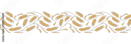 Ear of wheat and wheat grain, organic wheat bread agriculture natural food, barley rice millet, agricultural background template, seamless pattern, isolated vector illustration