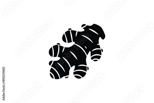 Organic fresh ginger root silhouette icon simple black and white herbal spice ingredient for healthy cooking
