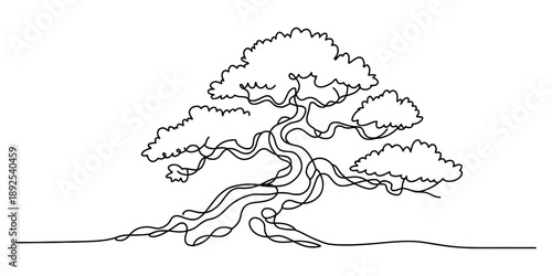 A continuous single line art drawing of a stylized bonsai tree with gnarled trunk Vector, illustration