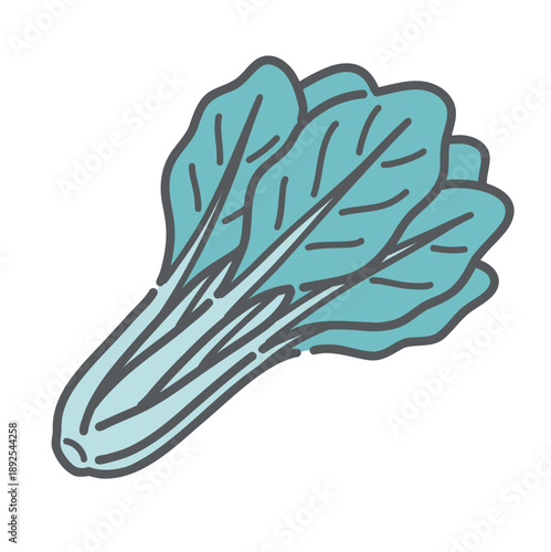 小松菜のイラスト（緑黄色野菜/カルシウム）