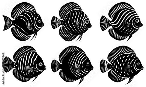 Six black fish with white stripes and spots swim in a horizontal line