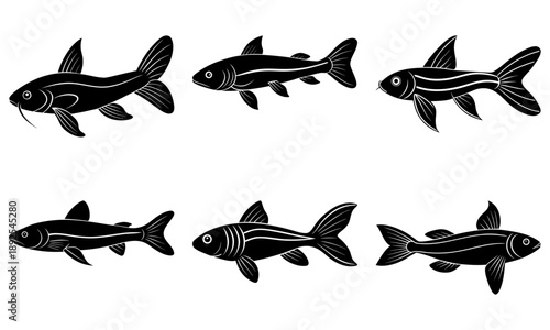 Group of zebrafish swimming together in water