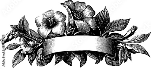 Vintage botanical folded paper banner with engraved floral design for retro style