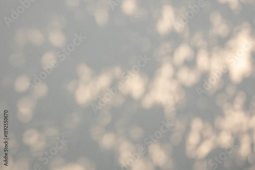 Abstract natural tree branch leaves shadow on beige wall background