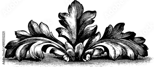 Heraldic cartouche with vintage botanical design for labels and engraving projects