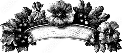 Vintage heraldic frame with botanical floral scrolls engraving for design