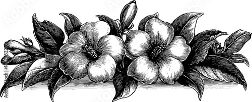 Vintage heraldic frame with floral scrolls engraving for botanical design