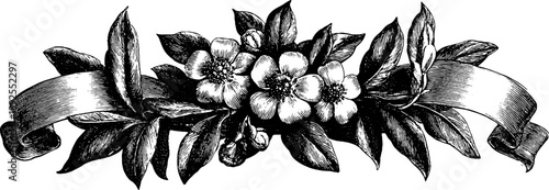 Heraldic frame with vintage floral scrolls botanical engraving design for decor and crafts