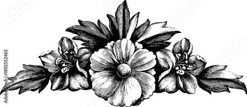 Ornate symmetrical heraldic cartouche with vintage botanical design for engraving and decoration