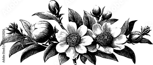 Vintage botanical herbarium style bouquet for design and decoration