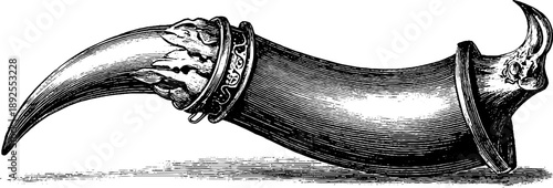 Vintage botanical engraving of horn keratin structure specimen for retro design