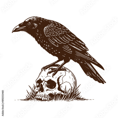 Crow perched on skull in the grass
