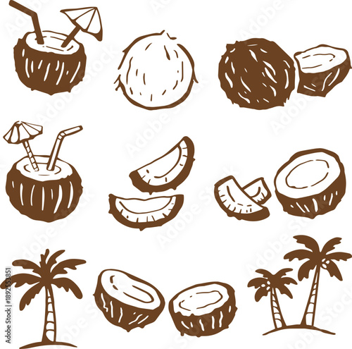 Hand-Drawn Coconut Elements Collection for Tropical and Summer Themes