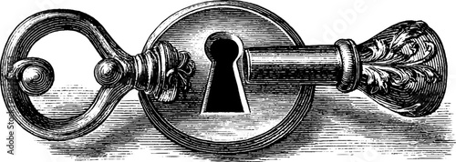 Intricate 19th century botanical keyhole door plate design for antique decor