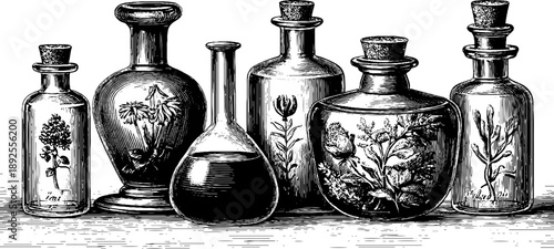 Vintage botanical laboratory glassware collection sketch for retro design and decor